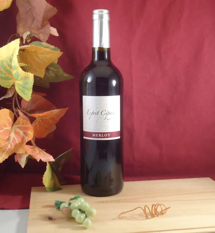 2018 MERLOT LES COTEAUX DU PIC