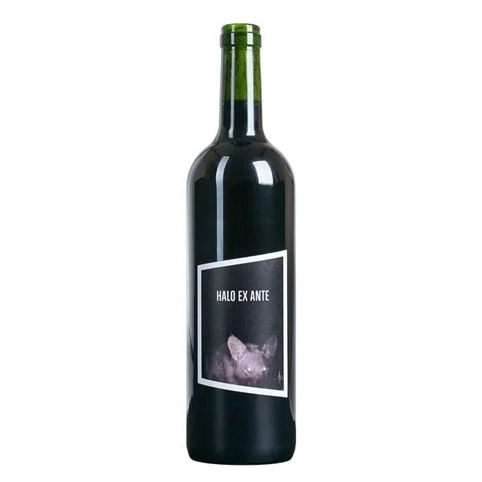 2019 Käfer Bio Halo Ex Ante, Rheinhessen, Deutschland