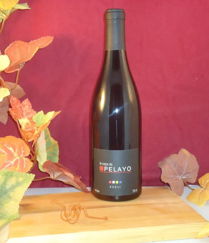 2019 LA CEPA DE PELAYO BOBAL Red Wine