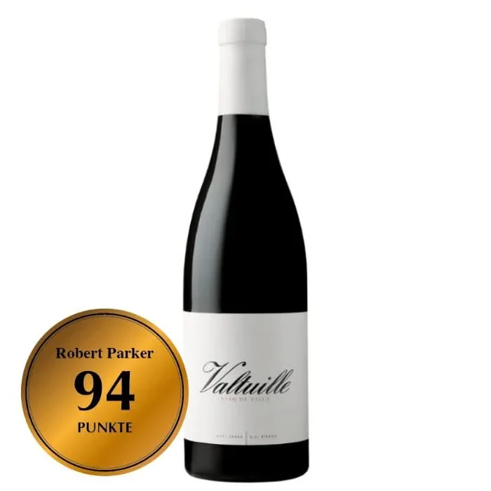 2019 Valtuille Vino de Villa, Bierzo, Spanien