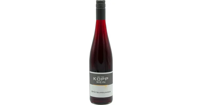 2022er Gutsabfüllung Weingut Kopp Pfalz 22er Spätburgunder Prädikatswein trocken Wein (rot)