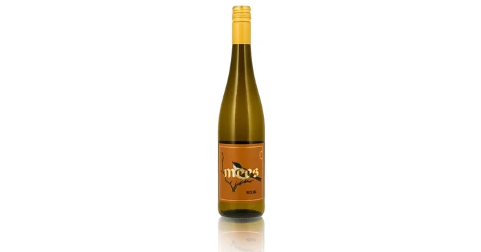 2022er Riesling trocken Nahe Weingut Mees