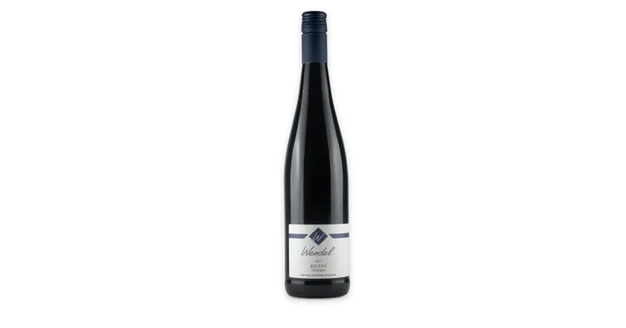 2023er Regent trocken Bio
