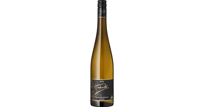 2023er Riesling Qw trocken Hochgewächs Reh