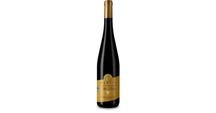 2023er Schwarzriesling Alte Reben „Gundersheimer Königstuhl“