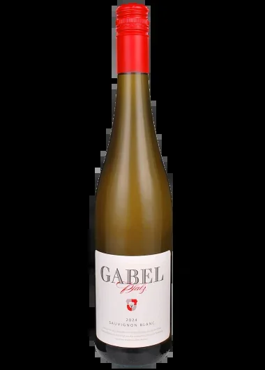 2024 Sauvignon Blanc Gutswein trocken BIO
