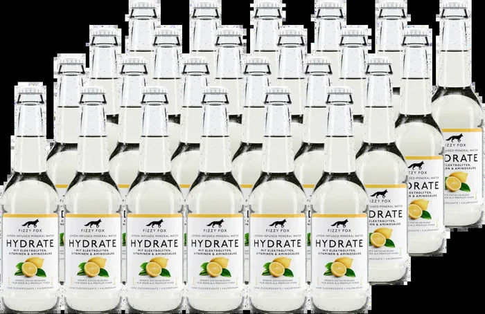 24x Fizzy Fox Hydrate – Lemon Elektrolyt Soda