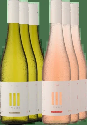 6er-PAKET »Gemischtes Doppel: III FREUNDE Alkoholfrei«