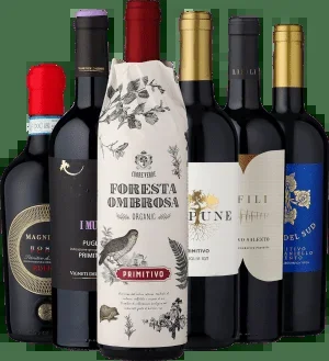 6er-Probierpaket »Primitivo Lover«