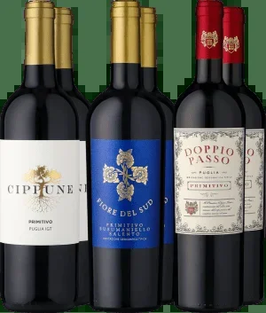 6er-Probierpaket »Primitivo-Power«