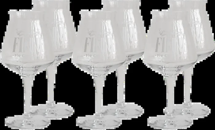 6x Finne sensory glasses