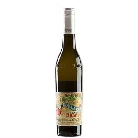 Adega Viúva Gomes Colares Weißwein 75cl | PortugalGetWine.com