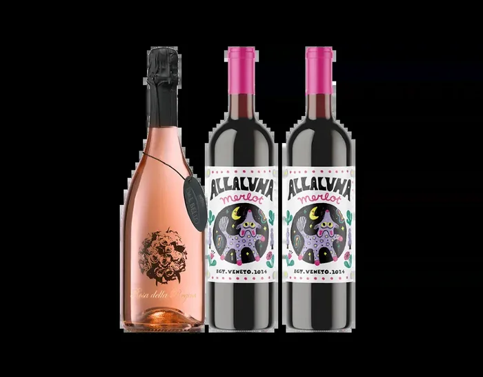 Adriatic Coast Mixed Wine Collection