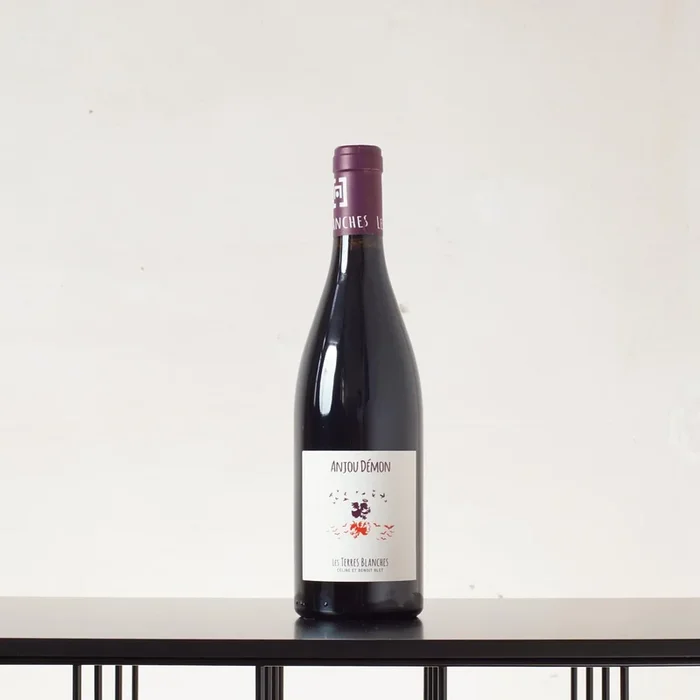 Anjou Demon 2020 – Les Terres Blanches – 0,75