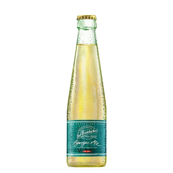 Bad Brambacher Ginger Ale 20×0,25L