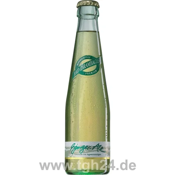 Bad Brambacher Ginger Ale Gourmet 20×0,25 l – tgh24 – Fachgroßhandel für Getränke