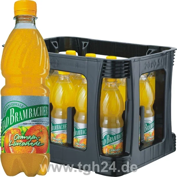 Bad Brambacher Orangenlimonade 20×0,5 l – tgh24 – Fachgroßhandel für Getränke