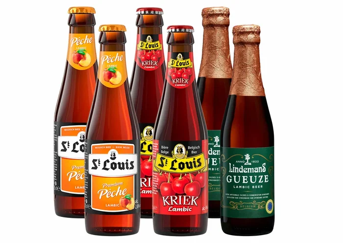 Bier Grill-Paket Blattsalat mit 6 Bierflaschen