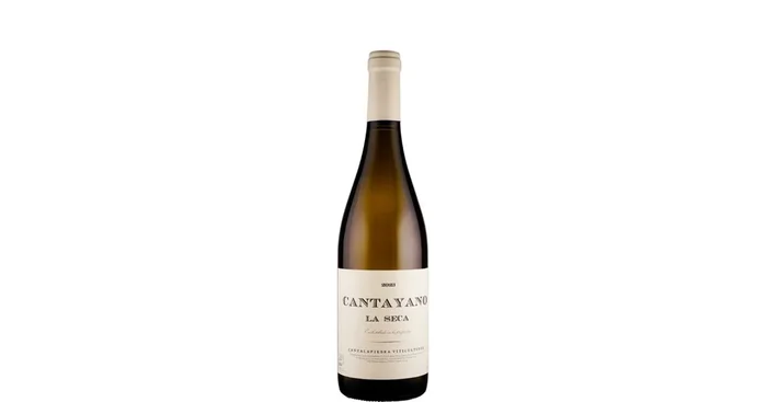 Cantalapiedra Viticultores Cantayano La Seca – Verdejo 2023 Biowein – ES-BIO-037