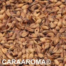 CARAAROMA® Malz ungeschrotet
