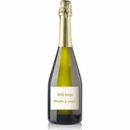 Champagne Brut PN VZ19