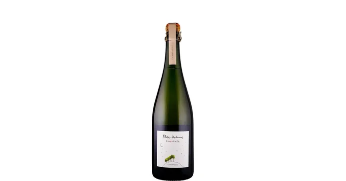 Champagne Elise Dechannes Champagne Blanc de Noirs brut nature Essentielle 2020 Biowein – FR-BIO-01