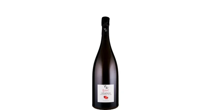Champagne Stéphane Fèvre Champagne Blanc de Noirs extra brut Bicheret – MAGNUM 2021 Biowein – FR-BIO-01