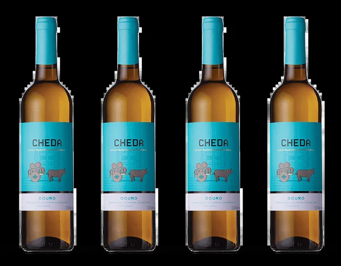 Cheda Branco, Douro DOC