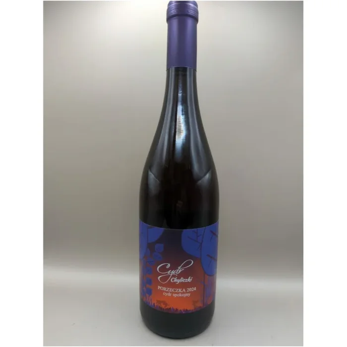 CIDER CHYLICZKI CURRANT 2024 DRY cider 0,75l