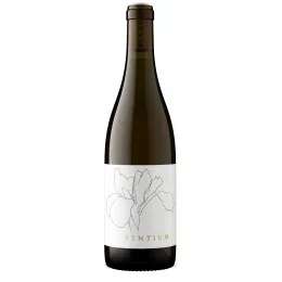 Continuum Sentium Sauvignon Blanc 2023