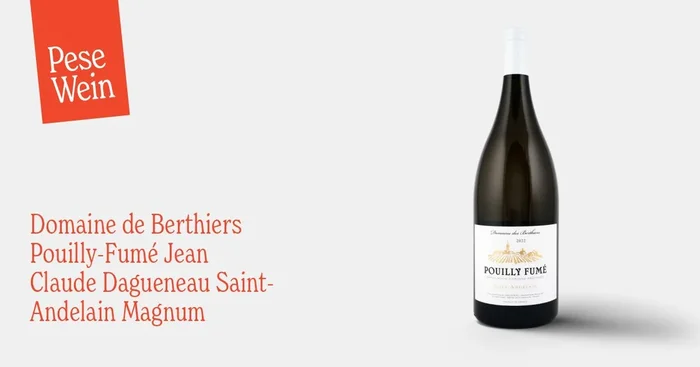 Domaine de Berthiers Pouilly-Fumé Jean Claude Dagueneau Saint-Andelain Magnum 2022