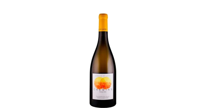 Domaine de Lucey Altesse Les Chemins 2022 Biowein – FR-BIO-15