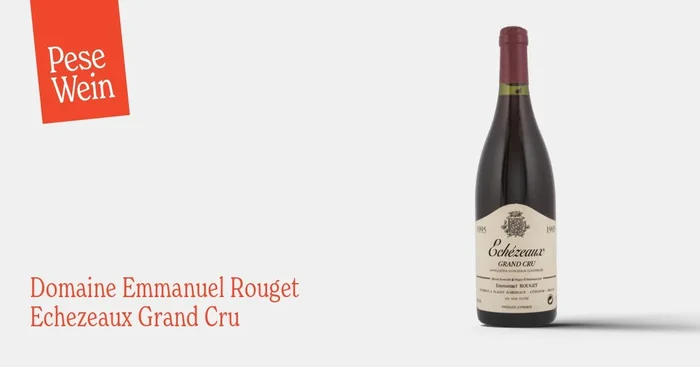 Domaine Emmanuel Rouget Echezeaux Grand Cru 1995