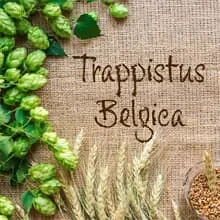 Fertigmischung TRAPPISTUS BELGICA 30 Liter, geschrotet