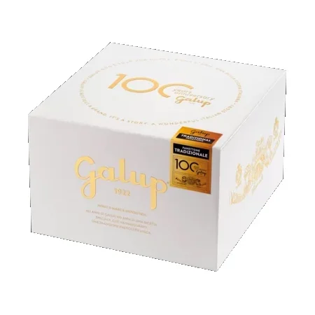 Galup | Panettone | 500g