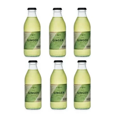 Ginger Beer Noe Mendrisio 20cl, 6er-Pack