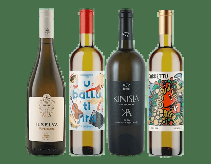 Italian South White Wine Collection 4PACK