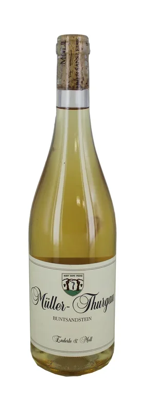 Müller Thurgau Buntsandstein2018