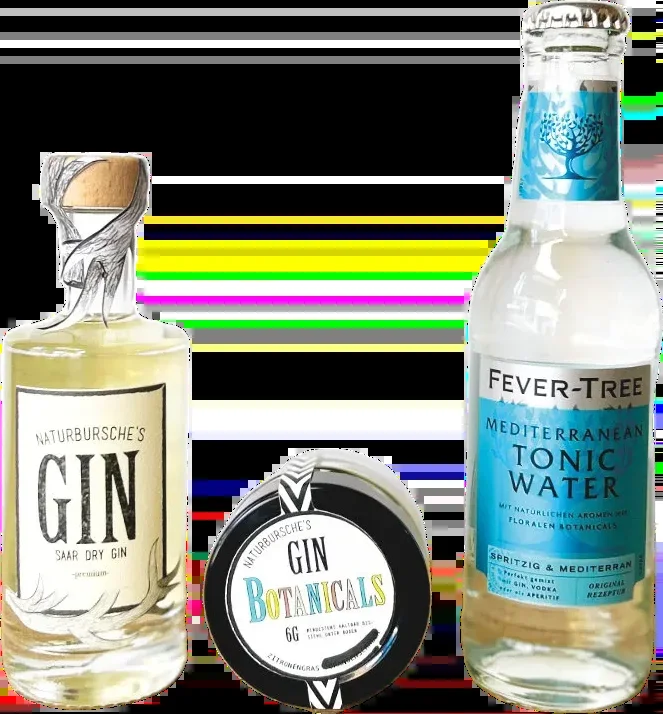 Naturbursche BeGINner Box mit Botanicals (1x Saar Dry Gin + 1x Fever Tree Mediterranean Tonic Water + 1x Gin Botanicals Lemongras)