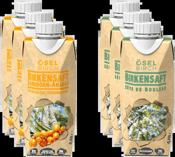 ÖselBirch Probierkiste Birkensaft Erfrischungsgetränke Tetrapacks – 6x 0,33 l