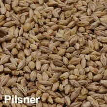 Pilsner Malz ungeschrotet