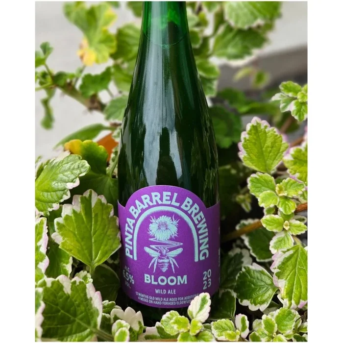 PINTA Barrel Brewing Bloom 2023 Wild Ale