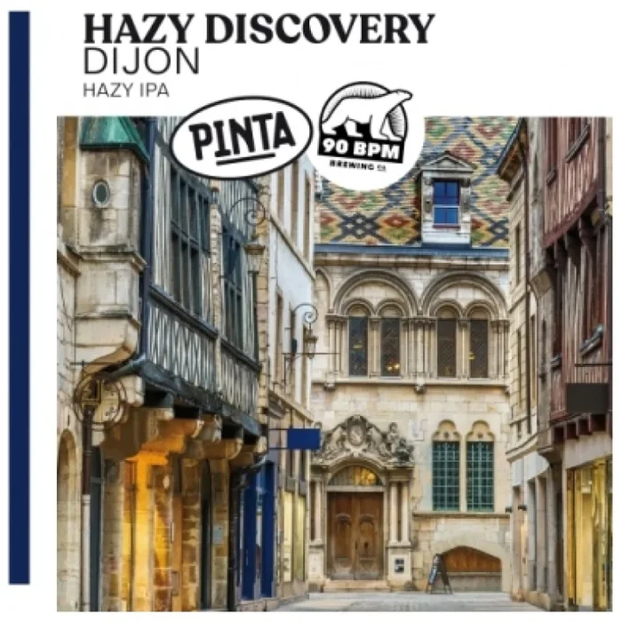 PINTA HAZY DISCOVERY DIJON Hazy IPA 6,5% 0,5L