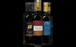 Primitivo Power Probierpaket
