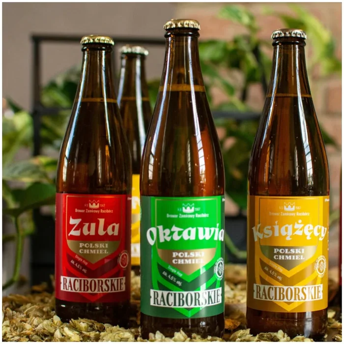 Raskiřessig – Radler RED ORANGE alkoholfrei