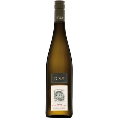 Riesling Ried Wechselberg Spiegel Kamptal DAC Reserve 1ÖTW 2017 – Johann Topf