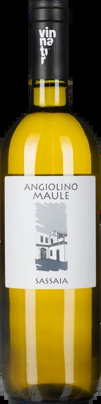 Sassaia Garganega 2023
