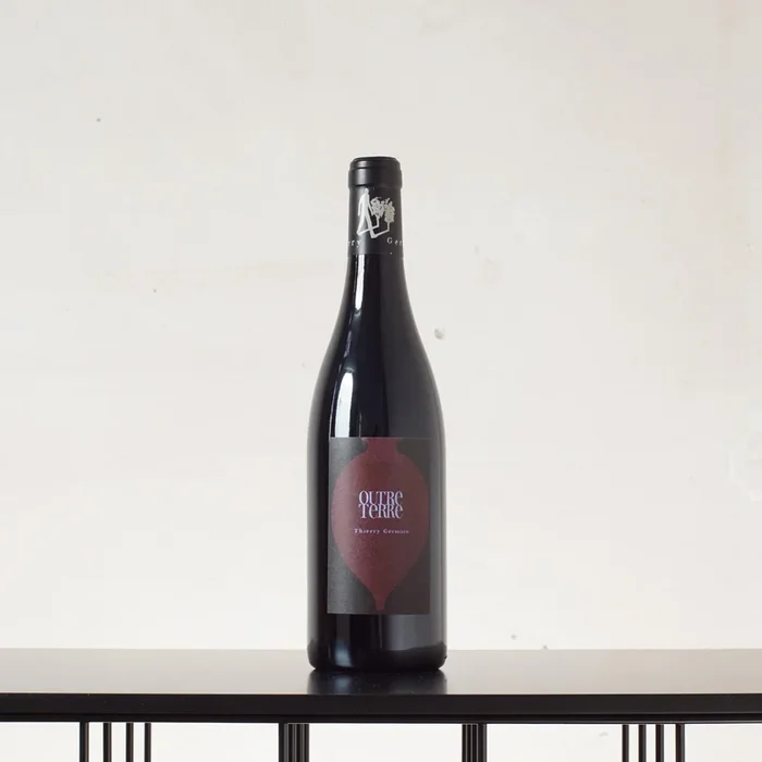 Saumur-Champigny Outre Terre 2019 – Domaine des Roches Neuves – 0,75