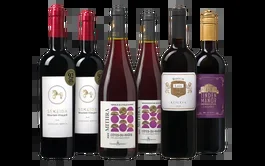 Schmortopf-Weinpaket