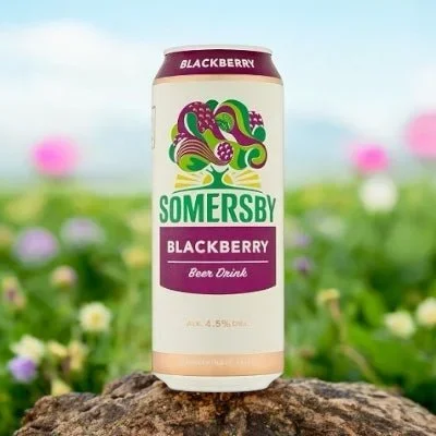 Somersby Blackberry 0,5l – Biermischgetränk mit Brombeere und 4,5% Vol.